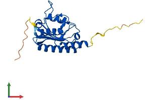 AlphaFold protein structure predicition of Mouse Recombinant Adat2 Protein, UniprotID Q6P6J0 (ADAT2 Protein (AA 1-191) (His tag))