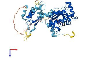 AlphaFold protein structure predicition of Mouse Recombinant Ube2q2 Protein, UniprotID Q8K2Z8 (UBE2Q2 Protein (AA 1-378) (His tag))