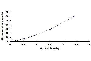 Typical standard curve
