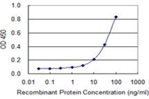 Detection limit for recombinant GST tagged IGF2BP2 is 1 ng/ml as a capture antibody. (IGF2BP2 antibody  (AA 1-598))