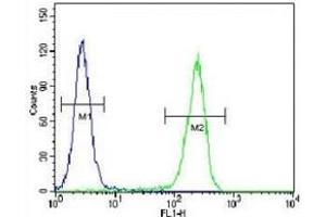 CRFR2D antibody flow cytometric analysis of HeLa cells (right histogram) compared to a negative control cell (left histogram). (CRFR2D antibody)