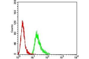 Flow cytometric analysis of Hela cells using MSH2 mouse mAb (green) and negative control (red). (MSH2 antibody  (AA 442-586))