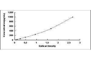Typical standard curve