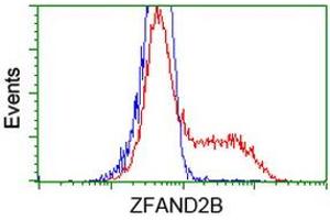 HEK293T cells transfected with either RC203822 overexpress plasmid (Red) or empty vector control plasmid (Blue) were immunostained by anti-ZFAND2B antibody (ABIN2454174), and then analyzed by flow cytometry. (ZFAND2B antibody)