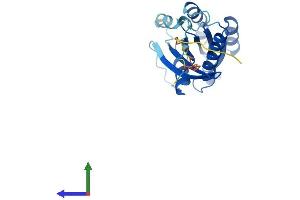AlphaFold protein structure predicition of Mouse Recombinant Rab2b Protein, UniprotID P59279