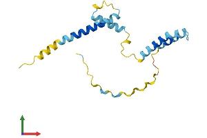 AlphaFold protein structure predicition of Mouse Recombinant Hes2 Protein, UniprotID O54792