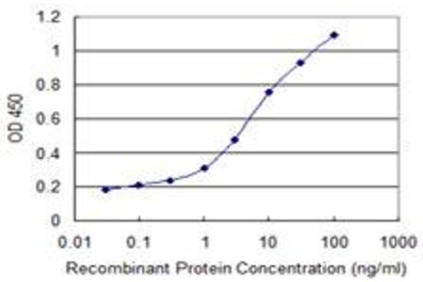 PCDHB11 antibody  (AA 27-126)
