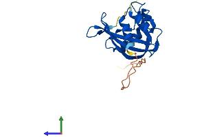 Protein Structure (PS) image for Nudix (Nucleoside Diphosphate Linked Moiety X)-Type Motif 4 (NUDT4) (AA 1-180) protein (His tag) (ABIN7550036)