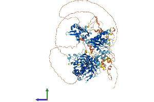 AlphaFold protein structure predicition of Human Recombinant ADAR Protein, UniprotID P55265 (ADAR Protein (AA 1-1226) (His tag))