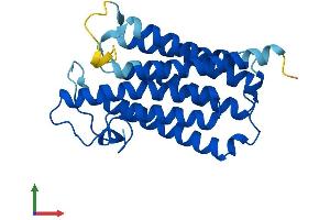Protein Structure (PS) image for Steroid-5-alpha-Reductase, alpha Polypeptide 1 (3-Oxo-5 alpha-Steroid delta 4-Dehydrogenase alpha 1) (SRD5A1) (AA 1-259) protein (His tag) (ABIN7545929)