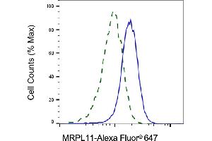 Validation of MRPL11 knockdown using flow cytometry.
