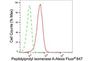 Flow cytometric analysis of Peptidylprolyl isomerase A expression in HepG2 cells using Peptidylprolyl isomerase A antibody (ABIN7799766), 1:2,000). (Recombinant PPIA antibody)