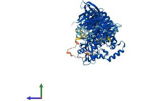 Protein Structure (PS) image for Neutral Sphingomyelinase (N-SMase) Activation Associated Factor (NSMAF) (AA 1-920) protein (His tag) (ABIN7562290)