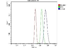 Flow Cytometry analysis of U937 cells using anti-NOX2/Gp91phox/CYBB antibody (ABIN7601684). (CYBB antibody  (AA 416-527))