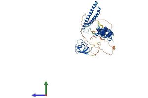 Protein Structure (PS) image for Formin Binding Protein 1-Like (FNBP1L) (AA 1-605) protein (His tag) (ABIN7553916)