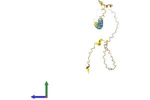 AlphaFold protein structure predicition of Human Recombinant GSN-AS1 Protein, UniprotID Q9NRJ2 (GSN-AS1 Protein (AA 1-163) (His tag))