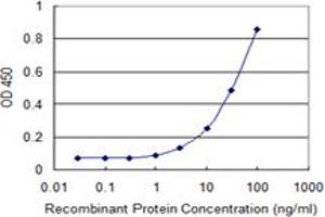 Detection limit for recombinant GST tagged TUFT1 is 1 ng/ml as a capture antibody. (TUFT1 antibody  (AA 241-350))