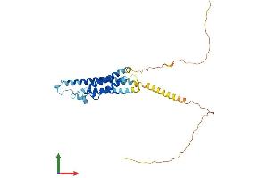 AlphaFold protein structure predicition of Human Recombinant MS4A1 Protein, UniprotID P11836 (CD20 Protein (AA 1-297) (His tag))