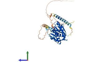 Protein Structure (PS) image for A Kinase (PRKA) Anchor Protein 7 (AKAP7) (AA 1-348) protein (His tag) (ABIN7551965)