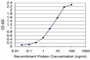 Detection limit for recombinant GST tagged TAF11 is approximately 0. (TAF11 antibody  (AA 158-210))