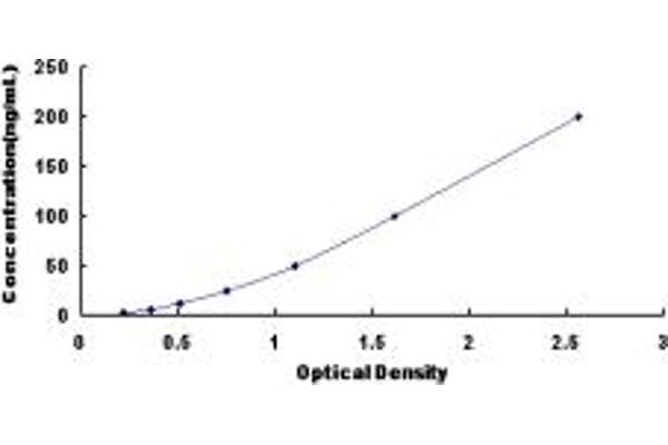 ITLN2 ELISA Kit