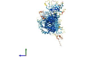 AlphaFold protein structure predicition of Mouse Recombinant Ctc1 Protein, UniprotID Q5SUQ9