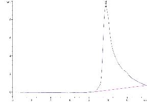 The purity of Human FGF21 is greater than 95 % as determined by SEC-HPLC. (FGF21 Protein (AA 29-209) (His tag))