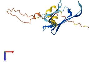 AlphaFold protein structure predicition of Mouse Recombinant Hspb3 Protein, UniprotID Q9QZ57 (HSPB3 Protein (AA 1-154) (His tag))