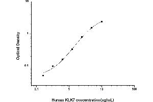 Kallikrein 7 ELISA Kit