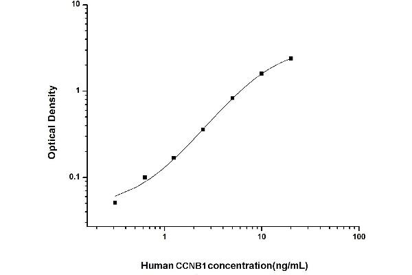 Cyclin B1 ELISA Kit