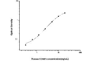 Typical standard curve (Cyclin B1 ELISA Kit)