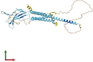 AlphaFold protein structure predicition of Human Recombinant CHRFAM7A Protein, UniprotID Q494W8 (CHRFAM7A Protein (AA 1-412) (His tag))