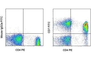 Image no. 1 for anti-CD7 (CD7) antibody (FITC) (ABIN474058) (CD7 antibody  (FITC))