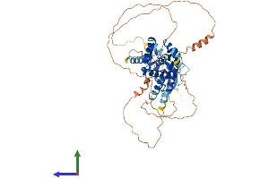 Protein Structure (PS) image for Male-Specific Lethal 3 Homolog (MSL3) (AA 1-525) protein (His tag) (ABIN7556322)