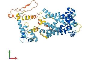 AlphaFold protein structure predicition of Human Recombinant SLC25A25 Protein, UniprotID Q6KCM7 (SLC25A25 Protein (AA 1-469) (His tag))