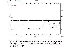 CFTR Protein (AA 1152-1480) (His tag)