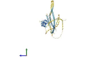 AlphaFold protein structure predicition of Mouse Recombinant Colec12 Protein, UniprotID Q8K4Q8