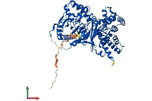 Protein Structure (PS) image for Carnitine O-Acetyltransferase (CRAT) (AA 1-626) protein (His tag) (ABIN7552892)