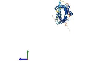 Protein Structure (PS) image for Angiotensin II Receptor, Type 1 (AGTR1) (AA 1-359) protein (His tag) (ABIN7551961)