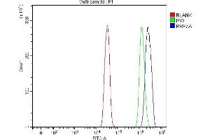 Flow Cytometry analysis of SiHa cells using anti-RRP7A antibody (ABIN7599044). (RRP7A antibody  (AA 1-181))