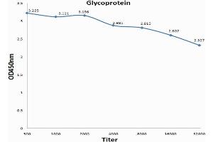 ELISA image for anti-alpha-2-HS-Glycoprotein (AHSG) (AA 201-300) antibody (ABIN681733)