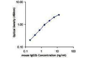 ELISA image for Rat anti-Mouse IgG2b antibody (ABIN2667303) (Rat anti-Mouse IgG2b Antibody)