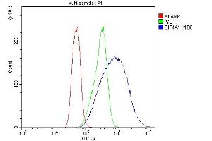 Flow Cytometry analysis of CACO-2 cells using anti- EIF4A1 antibody (ABIN7603143). (EIF4A1 antibody  (N-Term))