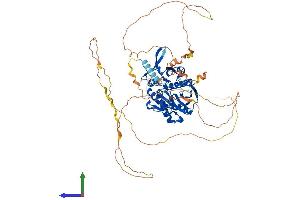 AlphaFold protein structure predicition of Human Recombinant SYN1 Protein, UniprotID P17600 (SYN1 Protein (AA 1-705) (His tag))