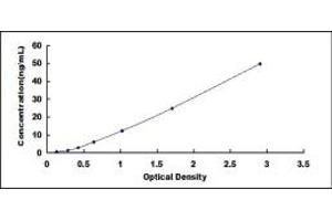 Typical standard curve (GPR58 ELISA Kit)