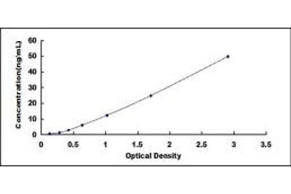 GPR58 ELISA Kit