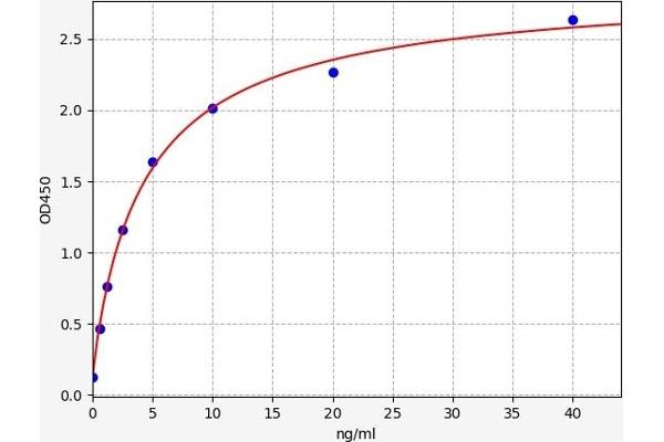 STAT2 ELISA Kit