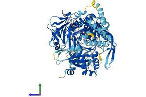 Protein Structure (PS) image for Acyl-CoA Synthetase Long-Chain Family Member 3 (Acsl3) (AA 1-720) protein (His tag) (ABIN7551859)