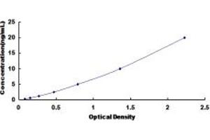 Typical standard curve (SLC26A8 ELISA Kit)