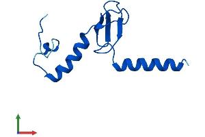 AlphaFold protein structure predicition of Human Recombinant RPL37AP8 Protein, UniprotID A6NKH3 (RPL37AP8 Protein (AA 1-93) (His tag))